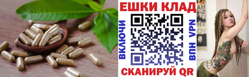Экстази XTC  где купить наркоту  Плавск 