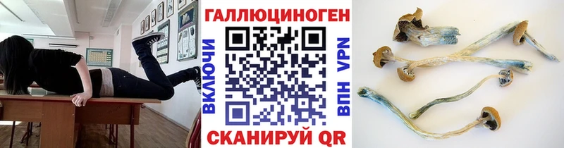 Псилоцибиновые грибы MAGIC MUSHROOMS  блэк спрут зеркало  Плавск 